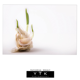 still_life