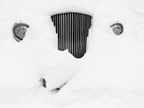 58Berninger