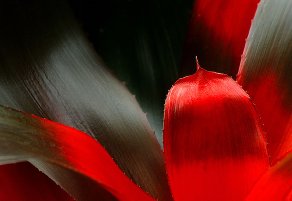 Crimson_Spire