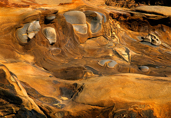 Point_Lobos_Flow